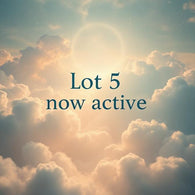 LOT#5
