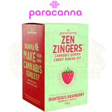 Zen Zingers Gummy Making Kit - Righteous Raspberry
